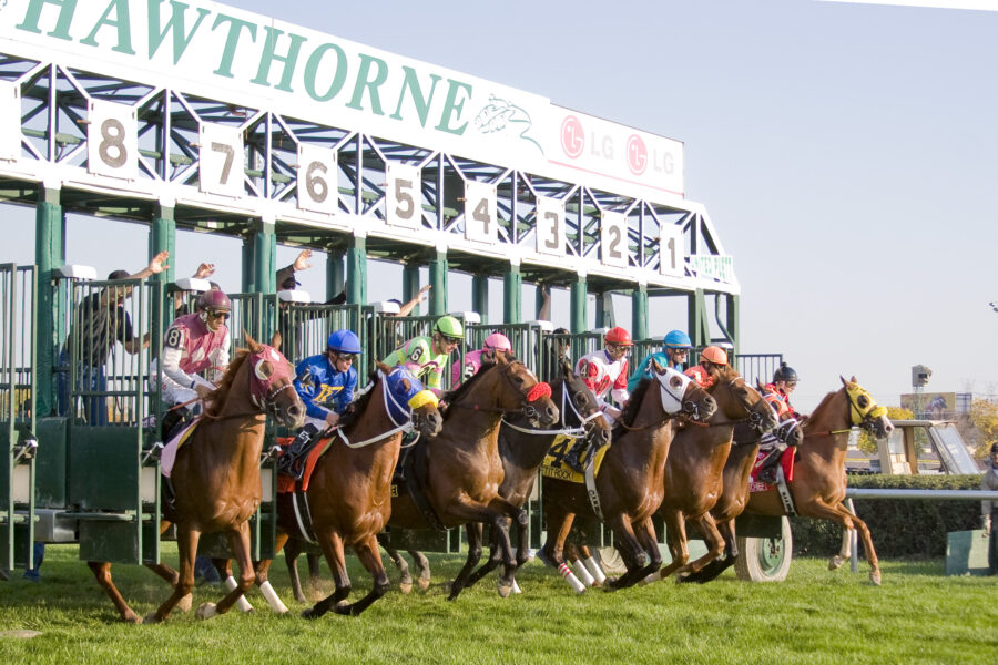 Hawthorne Race Course | Horse Racing
